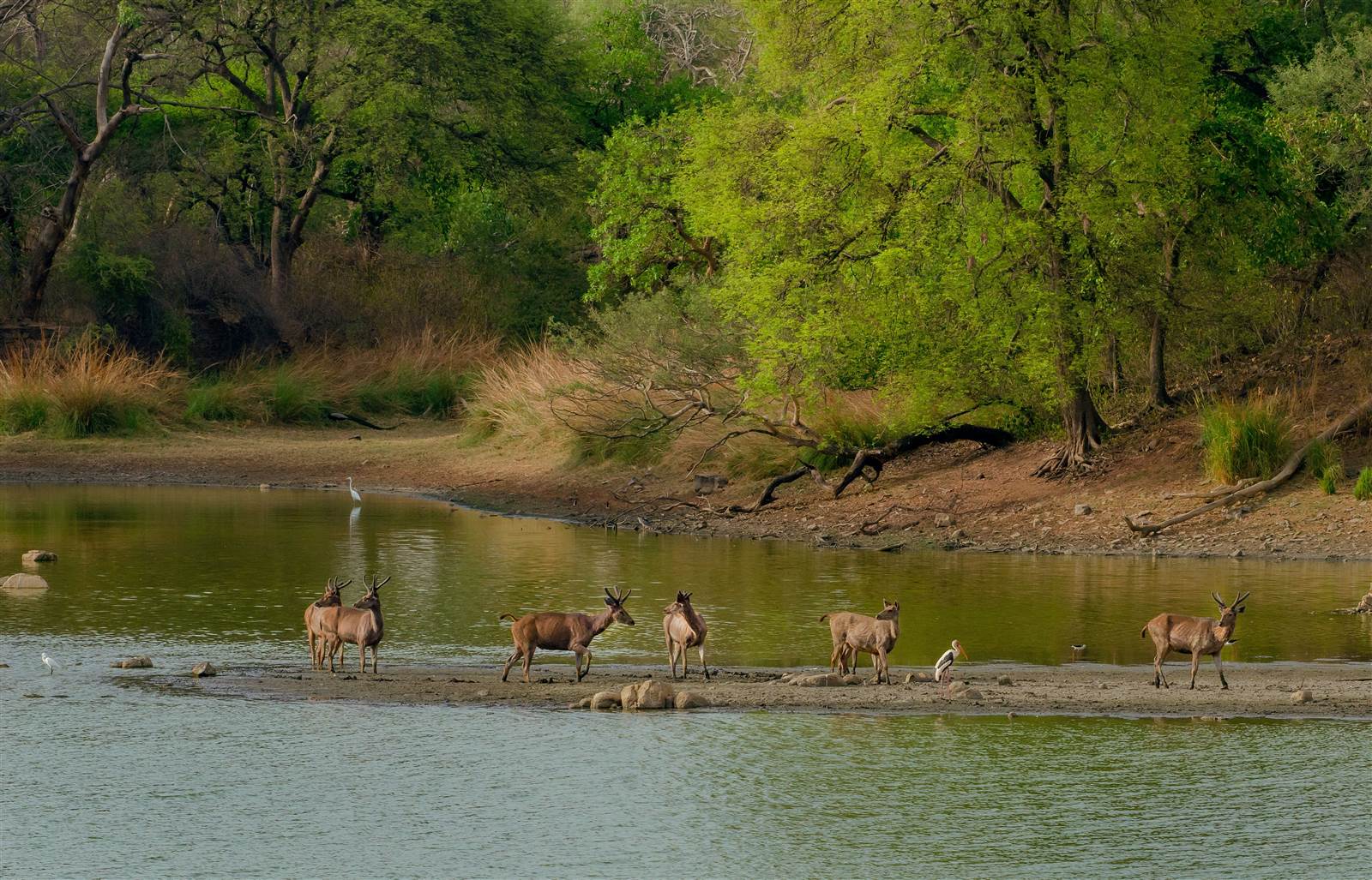 Safari et randonnée au Bénin